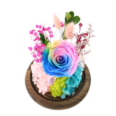 China Environmental protection green table top supplying flowerpot wooden bottom decorative supply transparent eternal rose with glass cover for sale