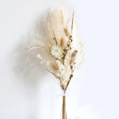 China Events Decoration Amazon Supplier Wedding Decorations Dried Flower Bouquet Small Reed Grass Dried Flower Bouquet Gift for sale