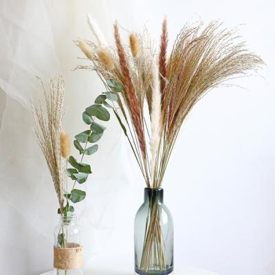 China China Pampas Grass Small Flower Pampas Wedding Pampas Soft Classic Custom Dry Flower Arrangement for sale