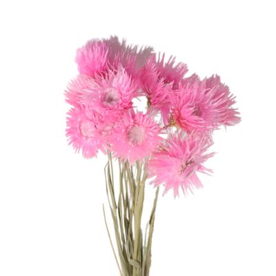 China Environmental Protection 10pcs Artificial Green Snow Lotus Flower Heads Dry Flower Bouquet for sale