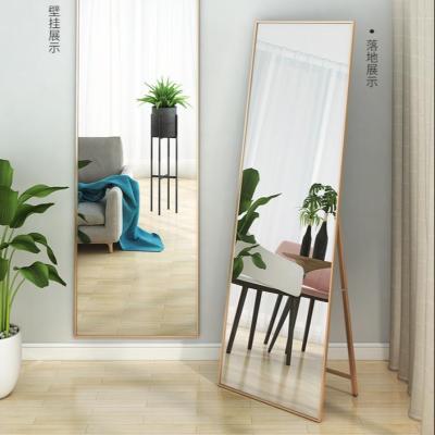 China Modern Simplicity Floor Mirror, Wholesale Morden Metal Dressing Mirror for sale