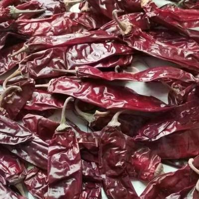 China Dry sweet red pepper for sale