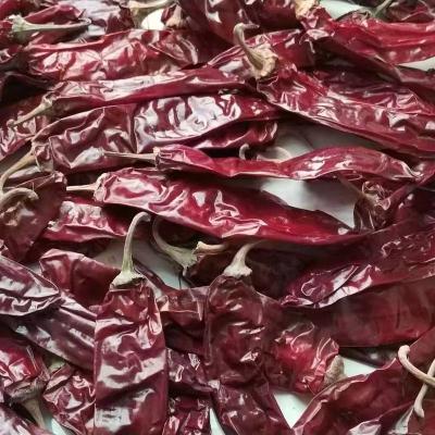 China Factory Supplier Chinese Sweet Paprika Pods Dry Red Pepper Pods For Food for sale