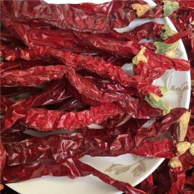 China Spicy Condiment Dried Whole Fresh Pick Dried Round Red Chilli Red Pepper Low Price for sale