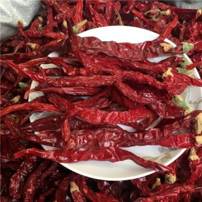 China SHU Spices Nuisanceless Xian Yidu Paprika Jingtiao Jinta Dried Red Chili Products Factory Golden Supplier for sale