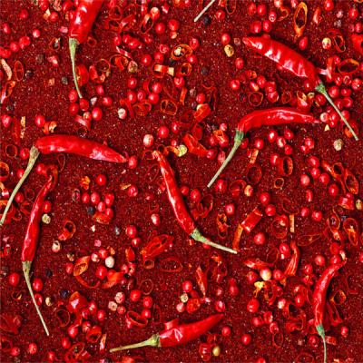 China Competitive price dry red pepper powder /hot spicy pepper powder for sale