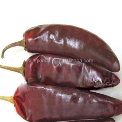 China Dried Export To Hungarian The Spicy Paprika Pepper Pods Price for sale