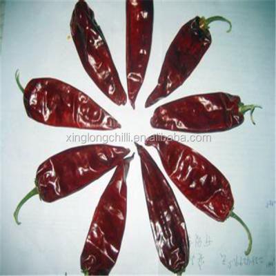 China Jinta Dried Chinese Stemless Sweet Paprika Chilies For Importers for sale