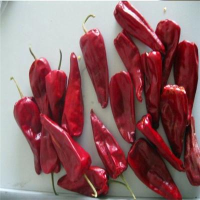 China Chinese Supplier Dry Dehydrated Hot Pepper Yidu Chilli Peking Red Chilli Paprika Pepper Pods for sale