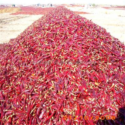 China Lowest Price Dry Dried Xian Chilli Flakes Red SHU10000 for sale