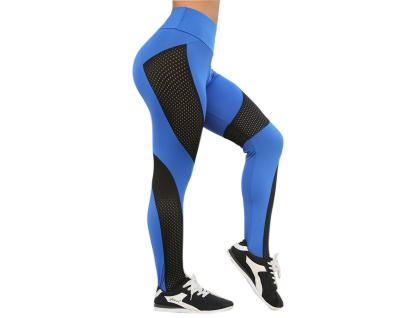 China Factory Supply Antibacterial Sports Gaiters With Mesh Yoga Mesh Gaiters Color Mesh Gaiters for sale