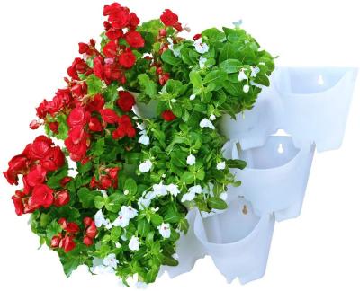 China Self Watering 3pc White Plastic Succulent Flowerpot Garden Vertical Wall Planters Set Self Watering Pots for sale