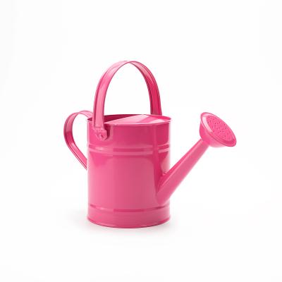 China The Excellent Manufacturer Multifunctional Garden Decoration Flower Plant Mini Watering Can for sale