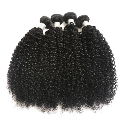 China Body Wave Hair Supplier Kinky Curly Extensions 100 Bundles Original Indian Human Hair Free Sample Natural Virgin Hair for sale