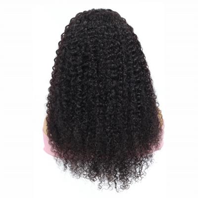 China Curly Curly Wig Virgin Jewish Cuticle Aligned Brazilian Human Hair Wholesale Price Mink Brazilian Human Hair Curly Full Lace Curly Hair Wig For Women for sale