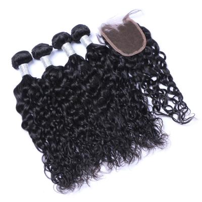 China brazilian water wave hair bundles with closure brazilian virgin hair water wave hair sellers accept paypal for sale