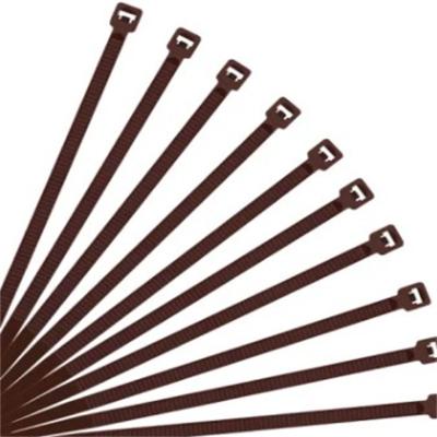 China 6/6 Mountable Head Cable Ties Eco-friendly Plastic Nylon for sale