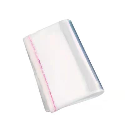 China Recyclable Heat Sealable Food Package Bags Plastic Clear Food Bags Vacuum Bags for sale