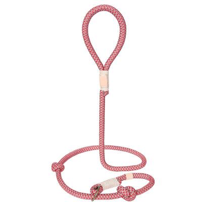 China Padded Reflective Strong Climbing Rope Dog Leash In Vivid Composition Color Sliding Lead Durable for sale