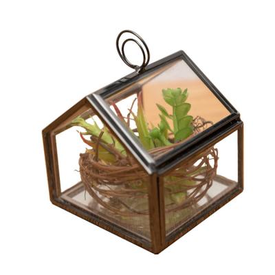 China China Customized Shape Copper Clear Geometric Glass Mini Greenhouse Factory Mini Greenhouse for sale