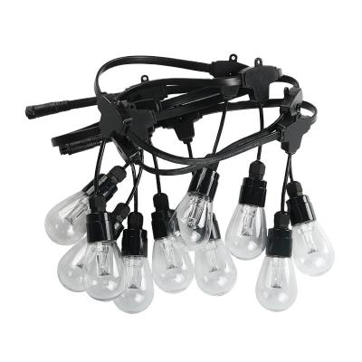 China Garden IC Outdoor Digital Control Programmable Colorful S14 LED String Lights for sale