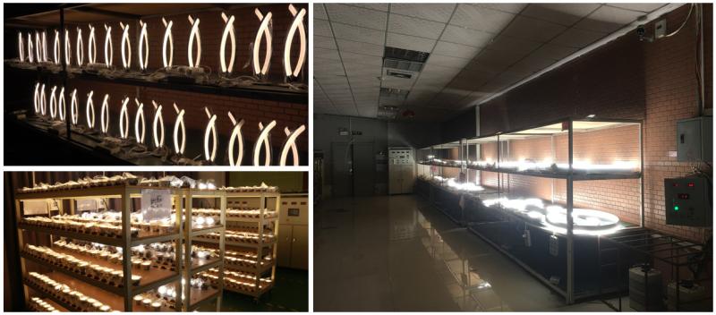 Fornitore cinese verificato - Zhongshan Rong Fei Lighting Co., Ltd.