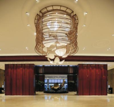 China Modern Entrance Lobby Lighting  High End Lobby Light OEM ODM for sale