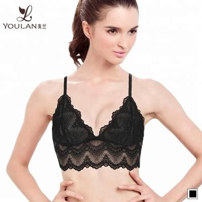 China Factory wholesale china supplier new antibacterial design in china women bra for sale