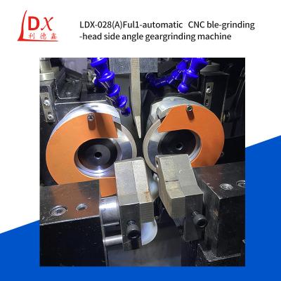 China Servo TCT Saw Circular Saw Blade doble cabeza de rectificación ángulo lateral máquina de rectificación CNC completa LDX-028A en venta