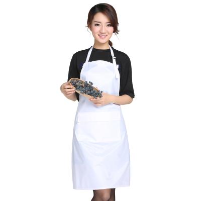 China Korean fashion PVC cleaning simple waterproof kitchen coveralls and oilproof chef apron men and women for sale