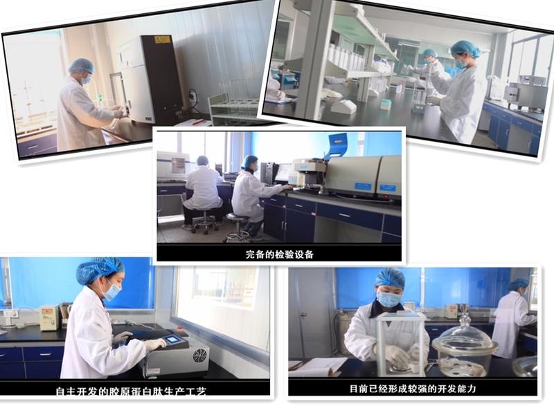 Verified China supplier - Hubei Reborn Biotech Co., Ltd.