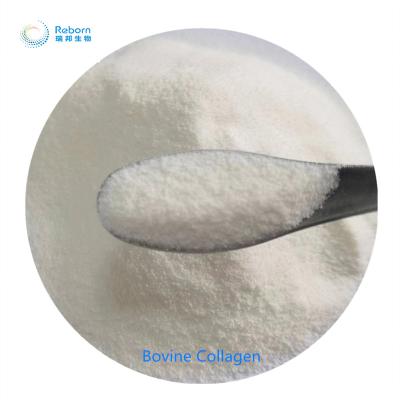 China Beauty Products Bovine Skin Collagen Peptide Powder Supplements Collagen Food Grade Good Smell for sale