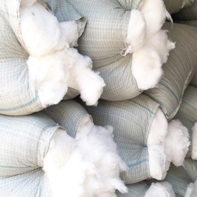 China 100% wool MENCA factory wholesale cashmere fiber white color top grade cashmere material precious roving dehaired pashmina fiber for sale