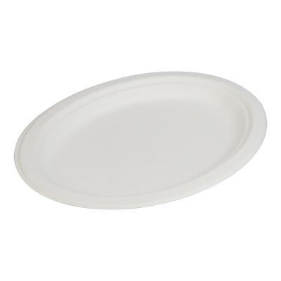 China Disposable Environmentally Friendly Food Dish Bagasse Round Tableware Promotional Dish for sale