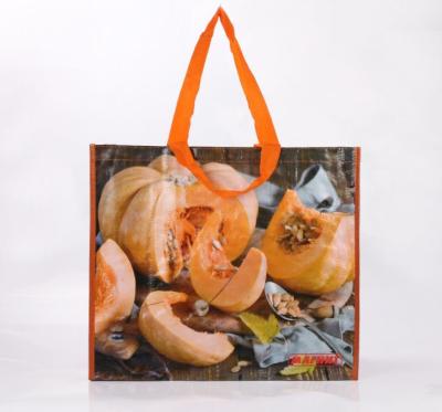 China Reusable eco-friendly handled planet pp non woven shopping bag for sale