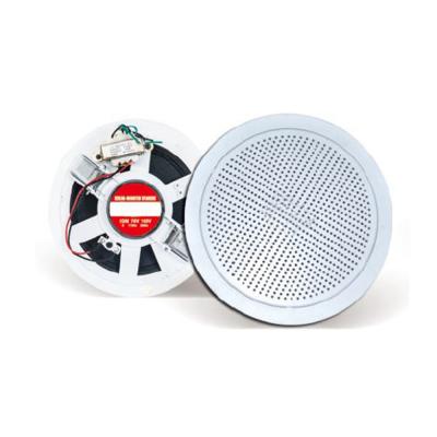 China Play China Video Speaker Manufacturer , 5 Inch Home Ceiling Speaker With Plastic Grille for sale