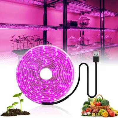 China Easy Install Waterproof 2835 LED Phyto Lamps Pink LED Grow Light Full Spectrum 5V USB LED Grow Light Hydroponic Strip Plants Greenhouse for sale