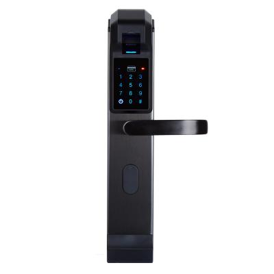 China Smart Cheap Electronic Smart Biometric Fingerprint Fingerprint Keypad Digital Lock Door Lock Smart Door Lock for sale