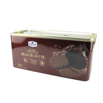 China High Quality Custom Metal Food Large Rectangular Gift Packing Tin Boxes For Cookies With Handle for sale