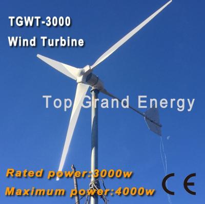 China TGWT-3K 3000W 96V/120V/220V wind turbine Three phase permanent magnet AC synchronous generator for sale