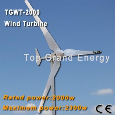 China TGWT-2K 2000W 48V/96V wind turbine Three phase permanent magnet AC synchronous generator for sale