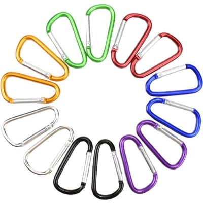 China Carabiner D Ring Clip Hook Durable Heavy Industry Keychain Camping Accessories For Outdoor, Fishing, Hiking, Traveling for sale