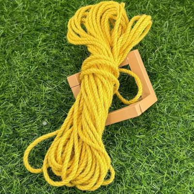 Chine Couleur personnalisée Corde en fibres de jute fortement tordu pour les besoins personnalisés à vendre