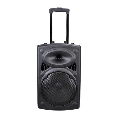 China radio in stock 12 inch horn speaker trolley speaker with rechargeable battery for sale