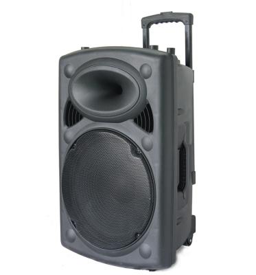 China Best 15 Inch High Quality Rechargeable Portable Wireless DJ Speaker Box for sale