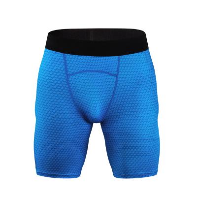 China Antibacterial Mens Compression Shorts Pattern Stretch Pants Breathable for sale