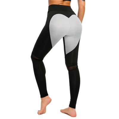 China Antibacterial seamless rpet yoga sports organic yoga pants saxi girl for sale