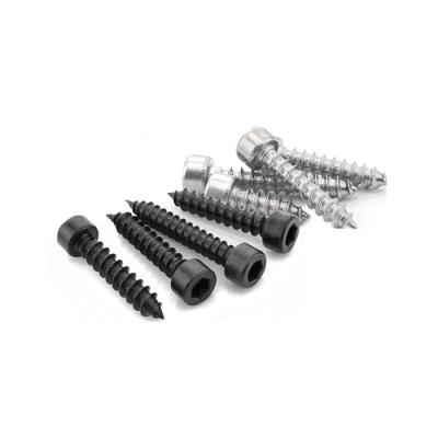 China Hot Selling High Quality HEX Socket Head Screws High Quality Gypsum Screws Self Tapping Screws for sale