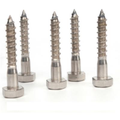 China HEX Lag Screw Hex Head Galvanized Lag Screw Square Head Concrete Lag Screw for sale