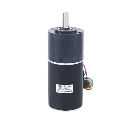 China Customizable IP40 low noise bldc 24v planetary gear motor 42BLY203AG6 for automatic mowing robot for sale